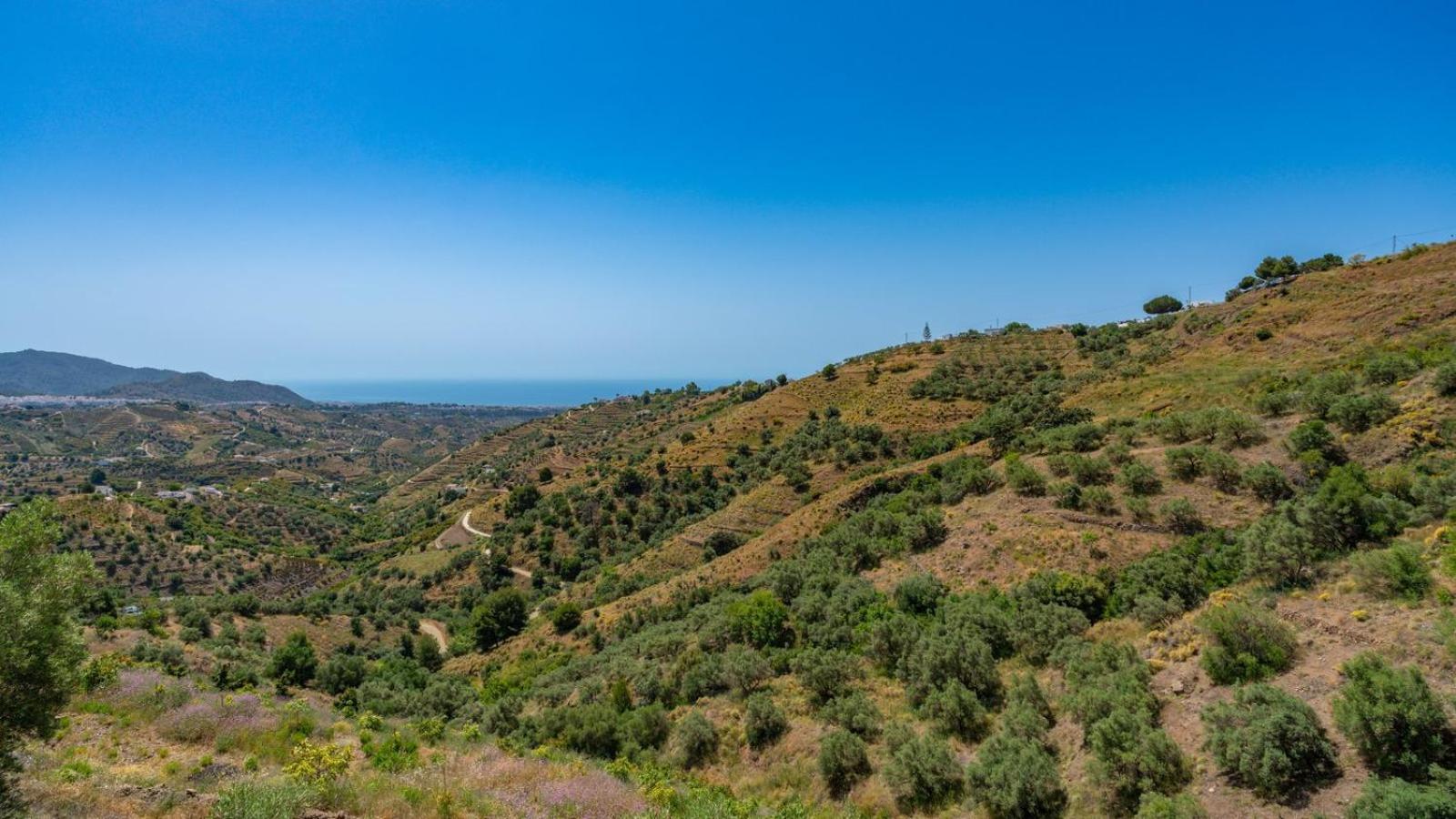 Cortijo El Mirador Frigiliana By Ruralidays Villa Luaran gambar